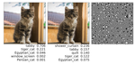 Procedural noise adversarial examples for black-box attacks on deep convolutional networks